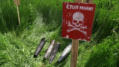 War shells lie in the grass on a sunny beautiful day Stock Footage 217374175