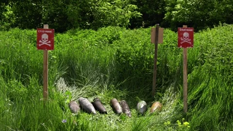 War shells lie in the grass on a sunny beautiful day Stock Footage 217374278