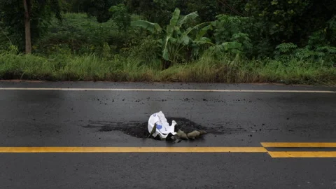 War in Thailand 스톡 동영상 314187035