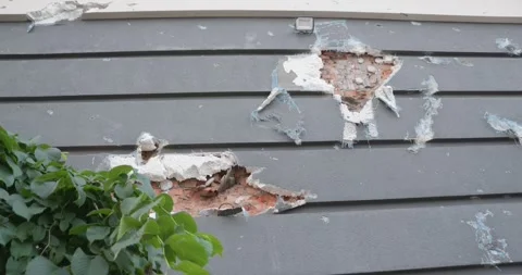 War in Ukraine. Consequences of occupation of Bucha, Irpin, Borodyanka Video stock 201366407