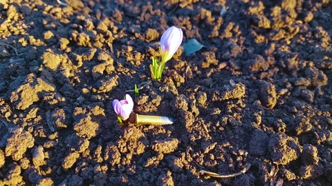 War in Ukraine Stock Footage 172431956