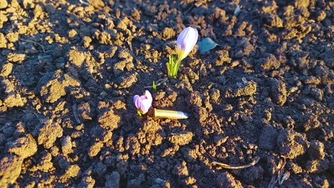 War in Ukraine Stock Footage 172431976