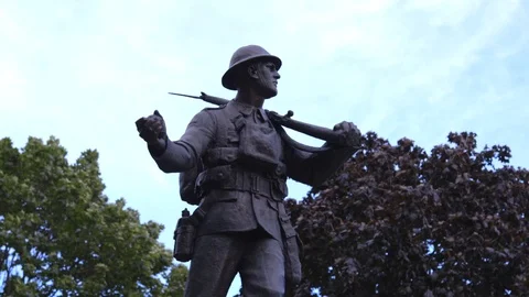 A war veteran statue with the wind blowing the trees behind it. Stock Footage 93571043