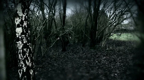 War veteran,war two,military,army,us Vídeo Stock 32947809