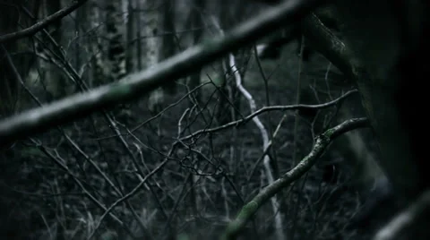War veteran,war two,military,army,us Vídeo Stock 32947948