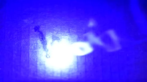 War wording Stock Footage 99661896