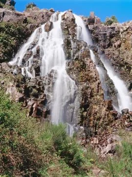 Waratah Falls Stock Photos