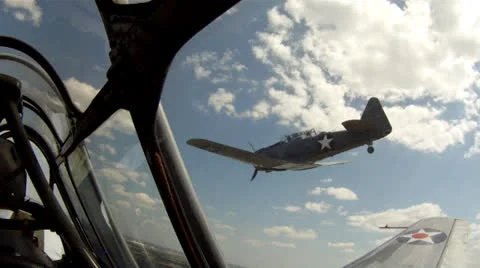 Warbird AT-6 Texan Formation Flight Stock Footage 24335776