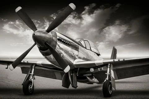 Warbird 스톡 사진