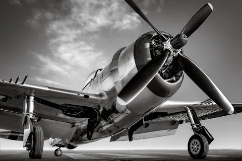 Warbird 스톡 사진