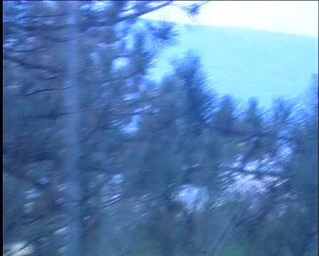 Ward Vídeo Stock 994845