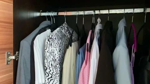 Wardrobe Stock Footage 207788155