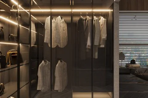 Wardrobe interior design sample for a modern living ideas, closet design ni.. Stock-Illustration