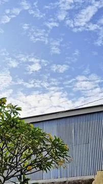 A warehouse and a tree under the blue sky Stock Photos