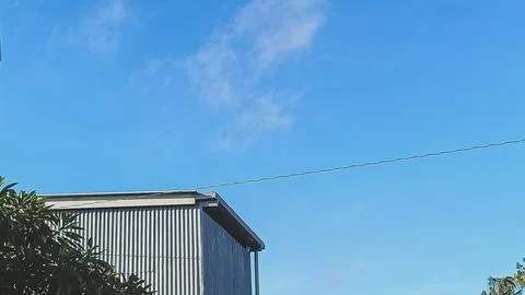 A warehouse and a tree under the blue sky Stock Photos