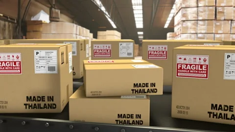 In a warehouse, boxes on a conveyor belt with the mention Made in Thailand. Stock Footage 249308580