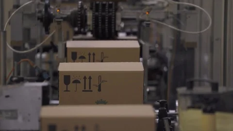 Warehouse, cardboard box is moving along the production line. Vídeo Stock 86227763