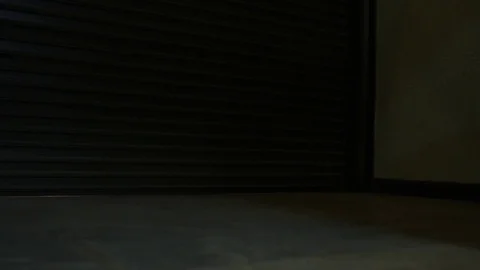 Warehouse door opens Stock Footage 77052760