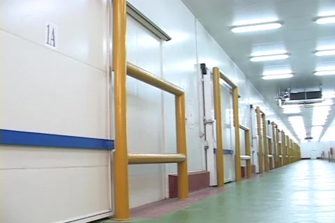 Warehouse 스톡 동영상 266398