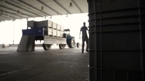 Warehouse of grape in the winery Stock Footage 169135706