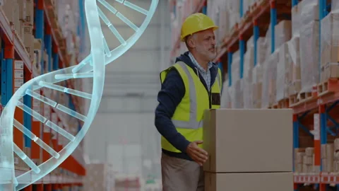 Warehouse handler loading boxes on trolley in warehouse aisle, overlay showing Stock Footage 309099297