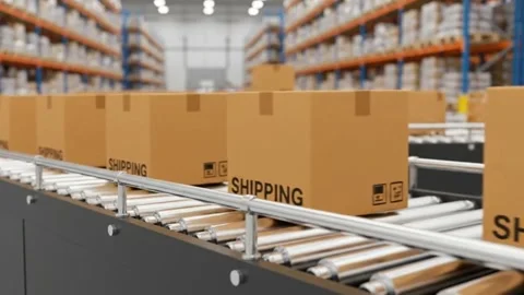 Warehouse Logistics: Efficient Package Delivery System. Stock Footage 316279642