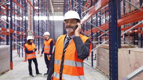 Warehouse manager talking on phone, coordinating logistics Stock Footage 312856437