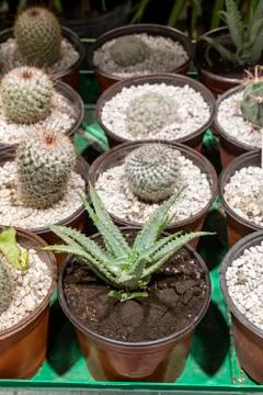 Warehouse with materials for construction Foto stock