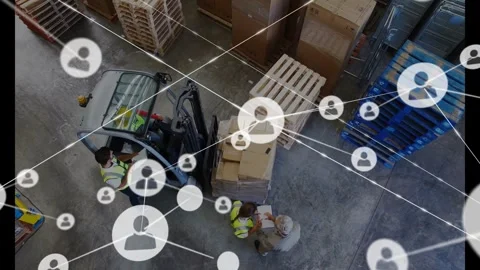 Warehouse operator lifting pallet while team checking docs verifying load as Video stock 330652529