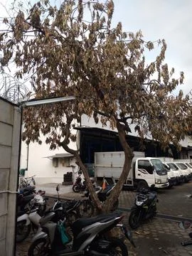 Warehouse Fotos Stock