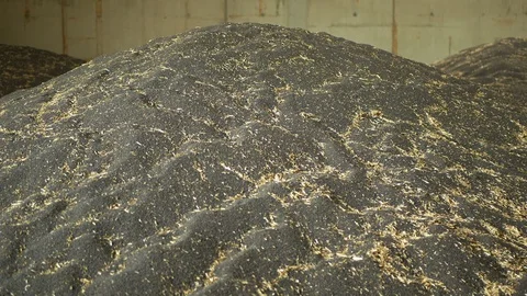 Warehouse pile rapeseed or rape store, oilseed rape black and other cereals and Stock Footage 115203575