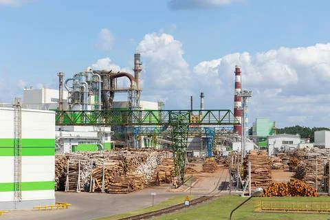 Warehouse of raw wooden materials Fotos Stock