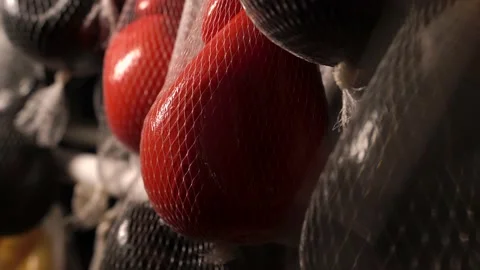 Warehouse, refrigerator for storing finished cheese products in stores Stock Footage 143990840