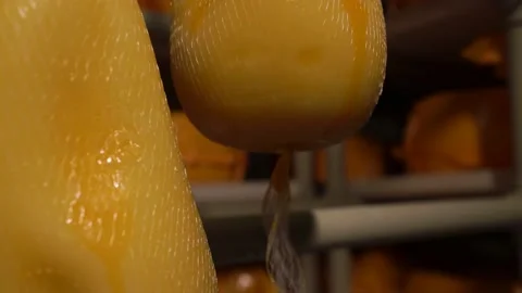 Warehouse, refrigerator for storing finished cheese products in stores Stock Footage 144044183