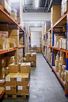 Warehouse, shelf and boxes with storage, distribution and import with export for Foto stock