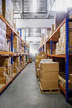 Warehouse, shelf and boxes with storage, supply chain and import with export for Foto stock