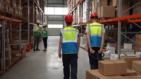 Warehouse staff and managers during working day Stock Footage 161953748