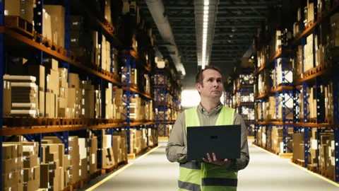 Warehouse staff member in facility checking pallets and packages Stock Footage 332908283