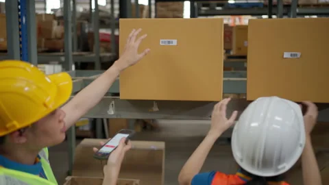 Warehouse staff working together to check the inventory Stock Footage 206656664