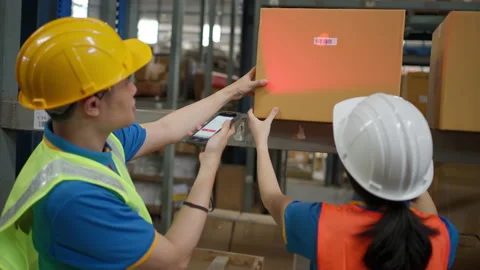Warehouse staff working together to check the inventory Stock Footage 206656984