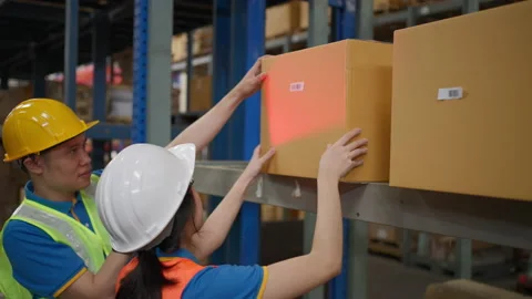 Warehouse staff working together to check the inventory Stock Footage 206656985