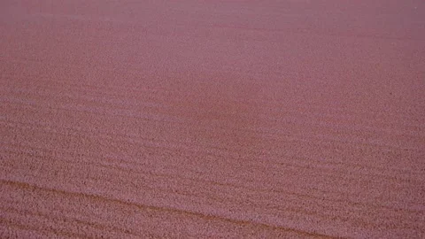 Warehouse for storage of fertilizers. Video stock 231741486