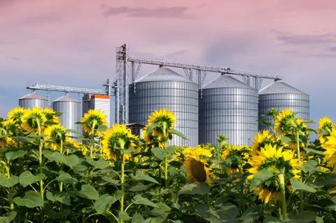 Warehouse storage of the harvest Stock Photos