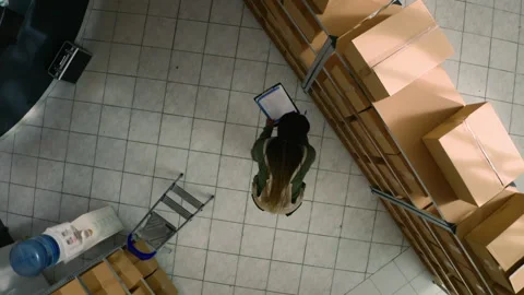 Warehouse supervisor examines parcels Stockbeeldmateriaal 251683245