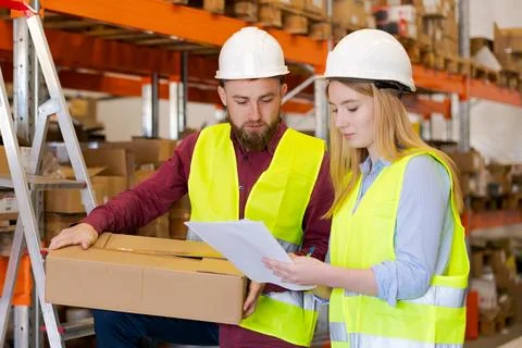 Warehouse Team Focused on Package Documentation Verification Process Stock Photos