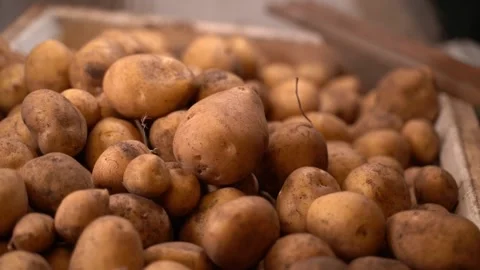 Warehouse of white potatoes. Smooth camera movement around a pile of potatoes Stock Footage 233338209