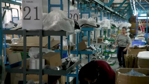 Warehouse Worker Checking Cargo Cardboard Boxes inside Large Storage Facility Stock Footage 340119289