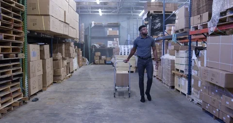 Warehouse worker pulling a handcart with cargo box in warehouse Stock Footage 116364984