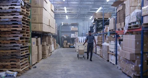 Warehouse worker pulling a handcart with cargo box in warehouse Stock Footage 116365158