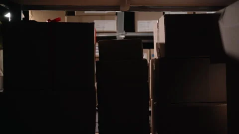 Warehouse worker putting package in the shelf full of parcels in a warehouse Stock Footage 250513104